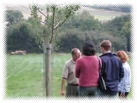 l'image, on peut voir Paul faire une démonstration pour ses visiteurs devant l'un des arbres du verger agé de deux ans